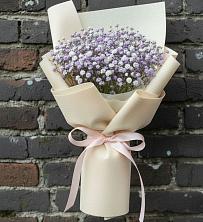 Букет цветов из:  Гипсофила в Долгое