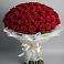 Букет 101 Красная роза Блэк Мэджик в Долгое