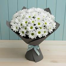 Букет цветов из:  Хризантемы #REPLACE_PRED# Долгое