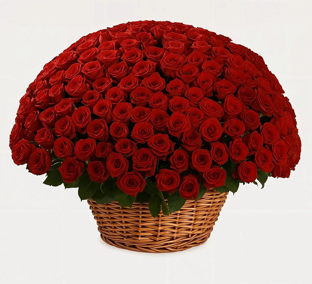 Премиум букет из: Розы в Долгое