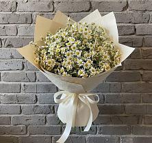 Букет цветов из:  Ромашки в Долгое